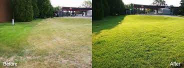 Landscape management work