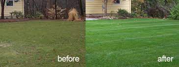 Landscape management work