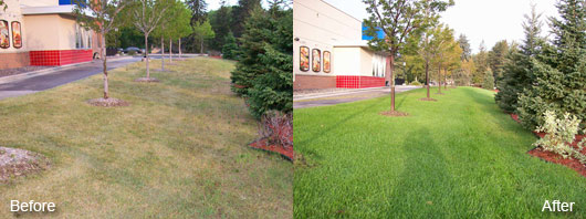 Landscape management work