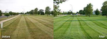 Landscape management work