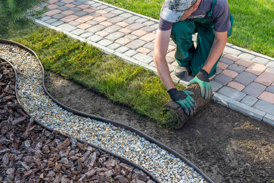 Landscaper laying new sod