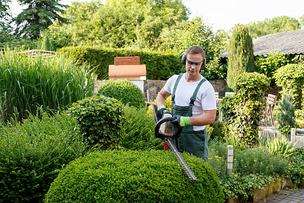 Landscaped commercial property